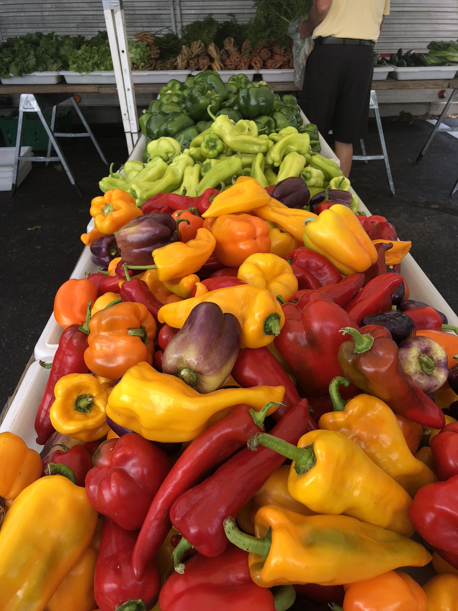 Peppers at the Farmers Market